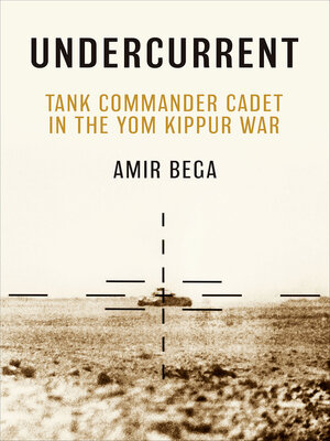 cover image of Undercurrent